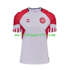 Maillot de Foot Danemark Exterieur 2023